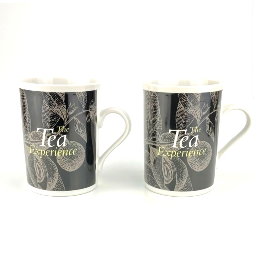Wissotzky The Tea Experience cup mug set of 2